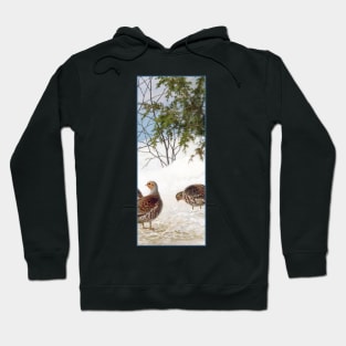 Perdix perdix by Ferdinand von Wright Hoodie